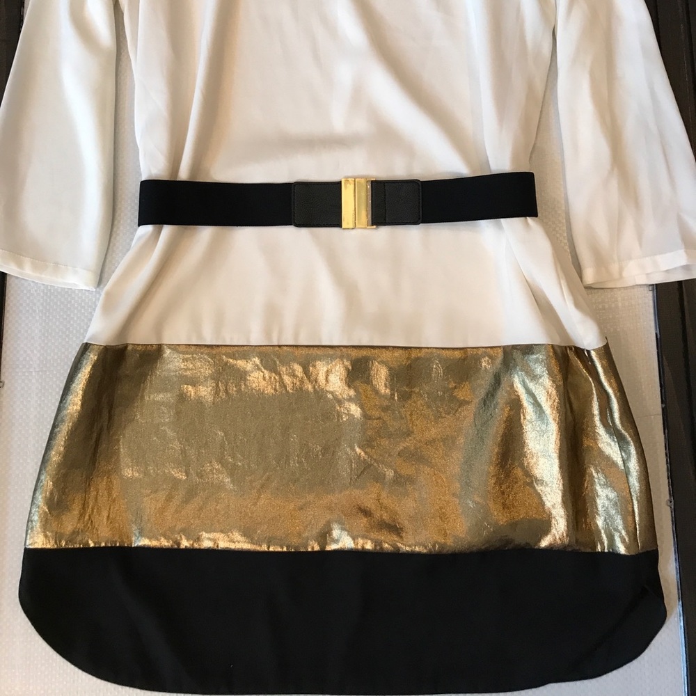 Express Dress - Picture 2 of 4