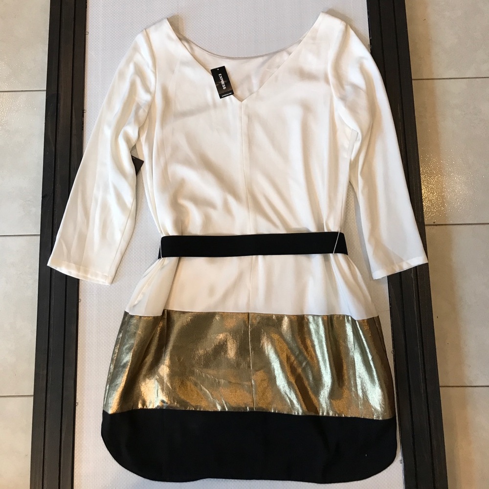 Express Dress - Picture 3 of 4