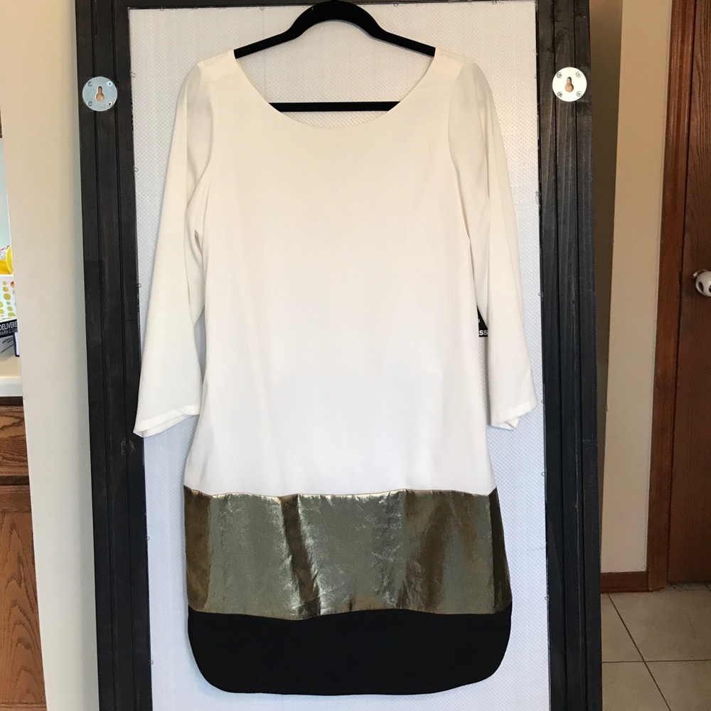 Express Dress - Picture 4 of 4