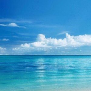 Meet your Posher, Sheila