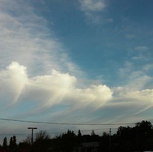 Meet your Posher, Mariel