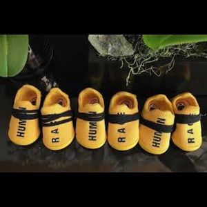 Meet your Posher, Gary