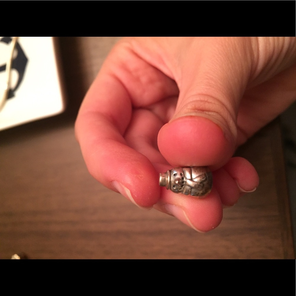 Pandora bracelet charm