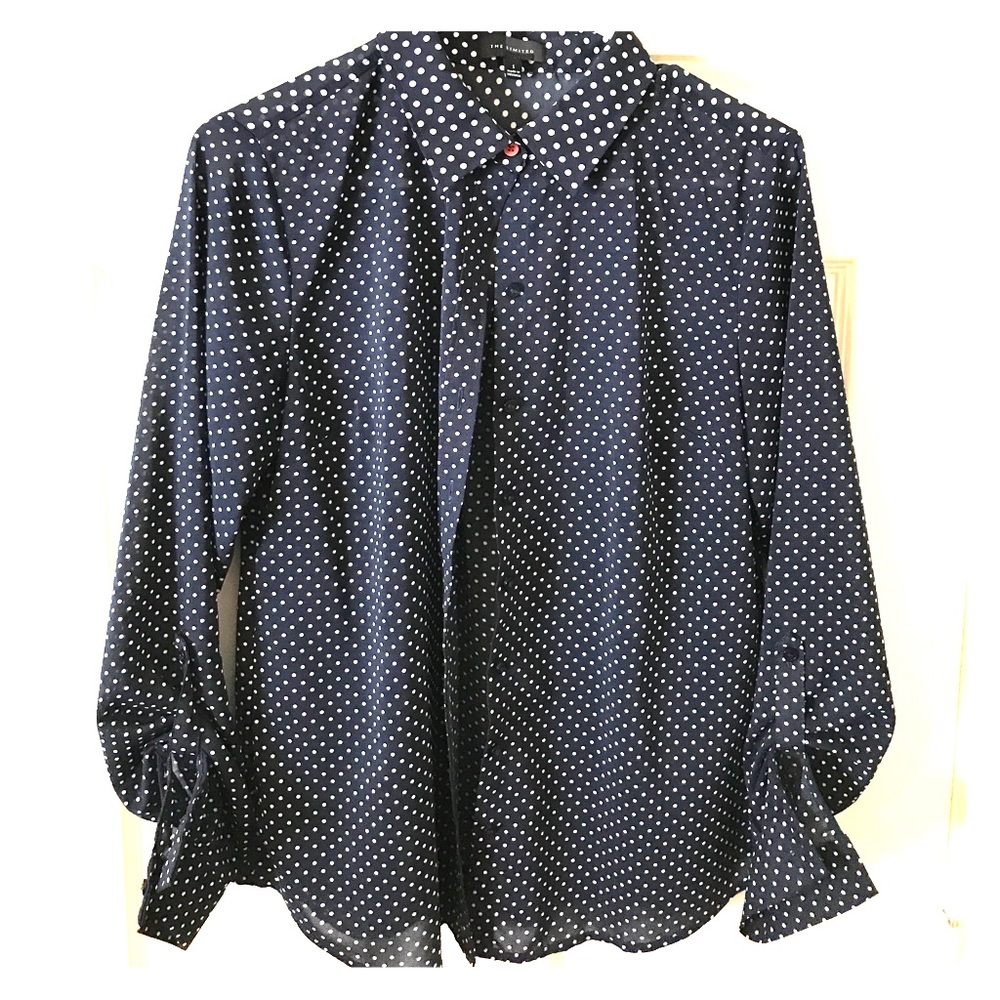 The Limited Polka Dot Blouse