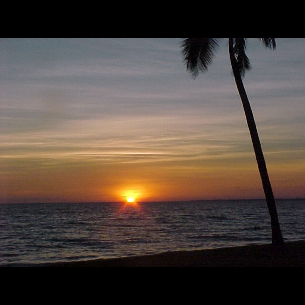 Meet your Posher, Lucy