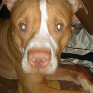 Meet your Posher, Vicky