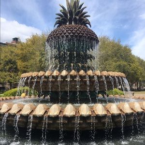 Meet your Posher, Bladimir