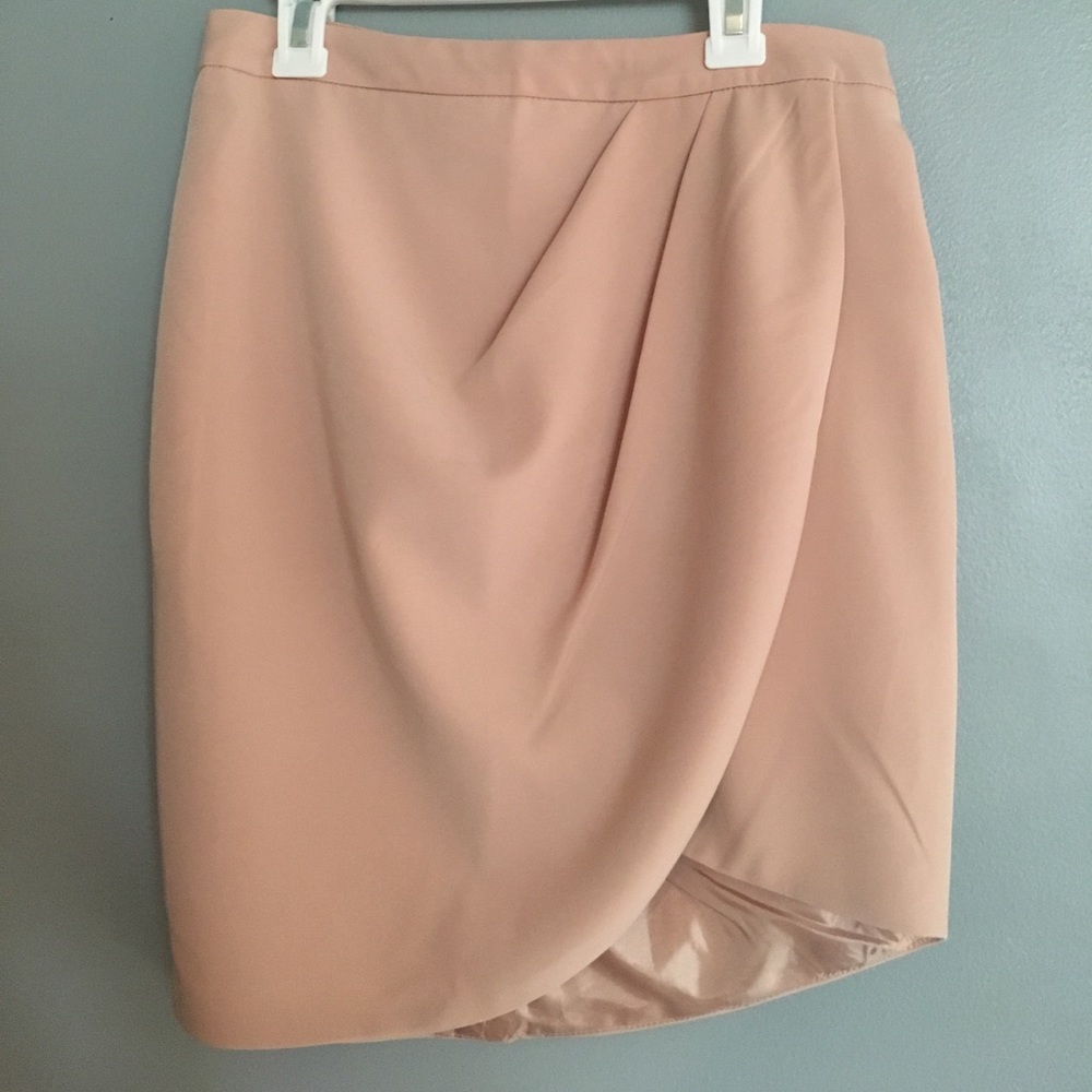 Blush/Champagne Skirt