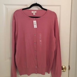 Women's Ann Taylor Loft Cardigan Sweater