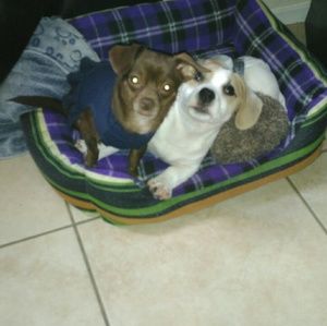 Meet your Posher, Ericka