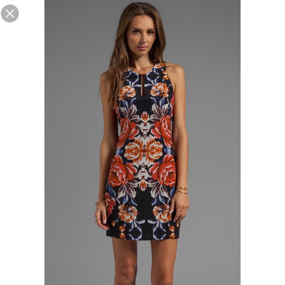 Greylin Paloma Floral Dress