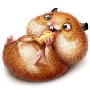 Meet your Posher, Hasul