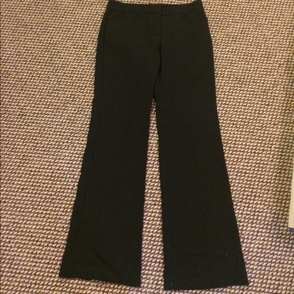 Express design studio editor pants
