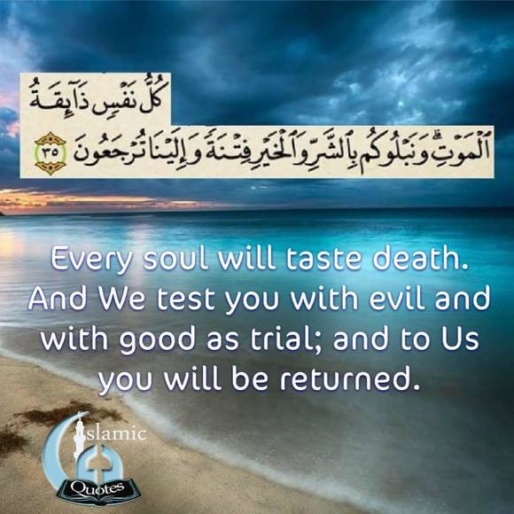 Meet your Posher, Mona - Picture 1 of 1