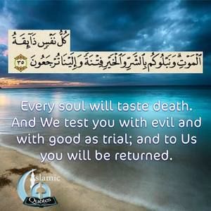 Meet your Posher, Mona