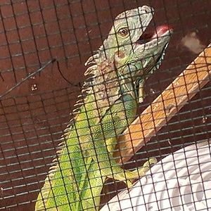 Meet your Posher, Kendra