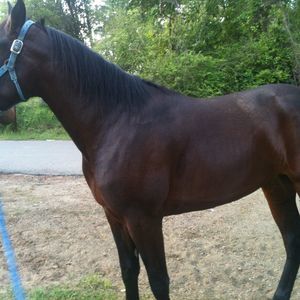 Meet your Posher, Jerry