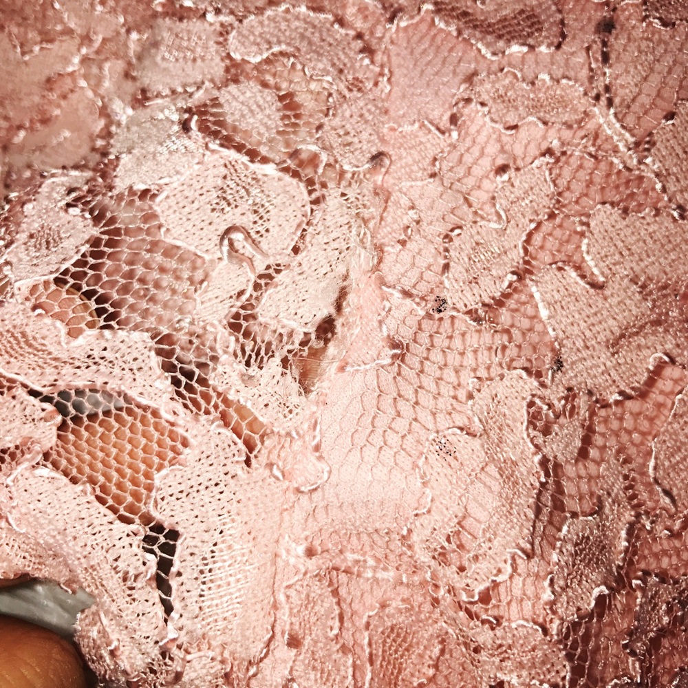 Torrid Plus Size Ballet Pink Sparkle Lace Skater - Picture 4 of 5