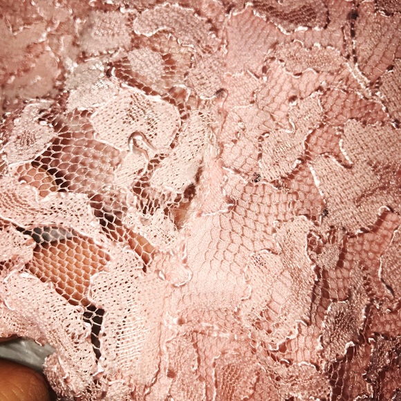 Torrid Plus Size Ballet Pink Sparkle Lace Skater - Picture 4 of 5