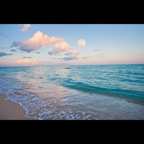 Meet your Posher, Tatyana - Picture 1 of 1