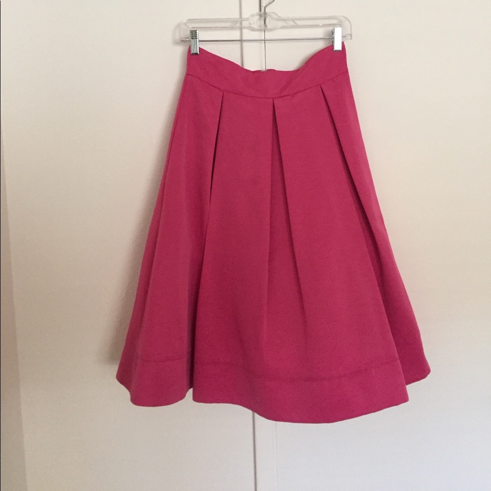 Anthropologie Pink Fit & Flare Skirt