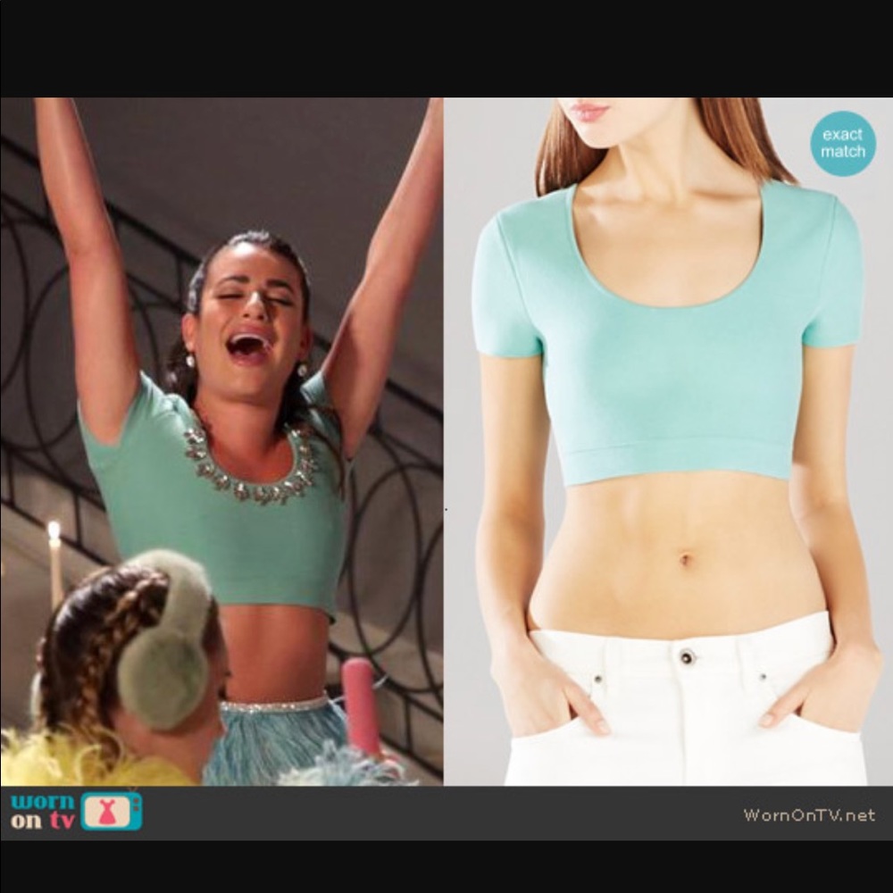 NWT bcbg Maressa cropped top L