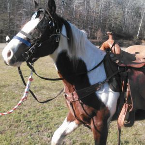 Meet your Posher, Kay