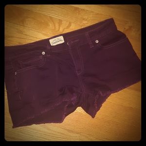 Purple denim Aero shorts