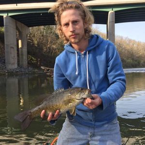 Meet your Posher, Devon