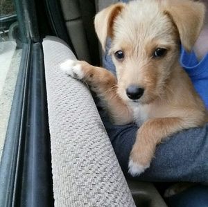 Meet your Posher, Brittany