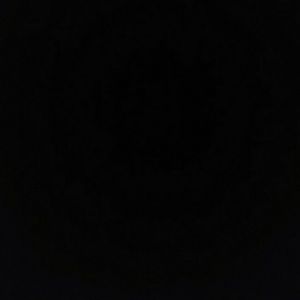 Meet your Posher, Leon