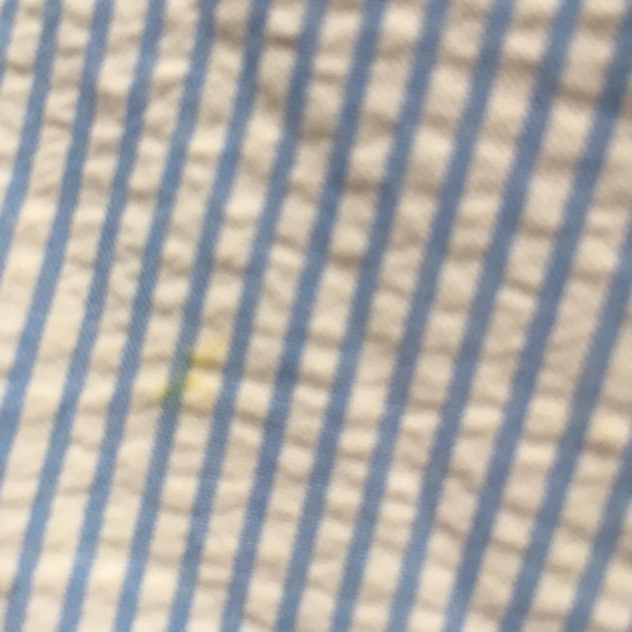 Pinstripe j crew shorts - Picture 5 of 6