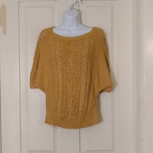 Ann Taylor LOFT dolman sweater