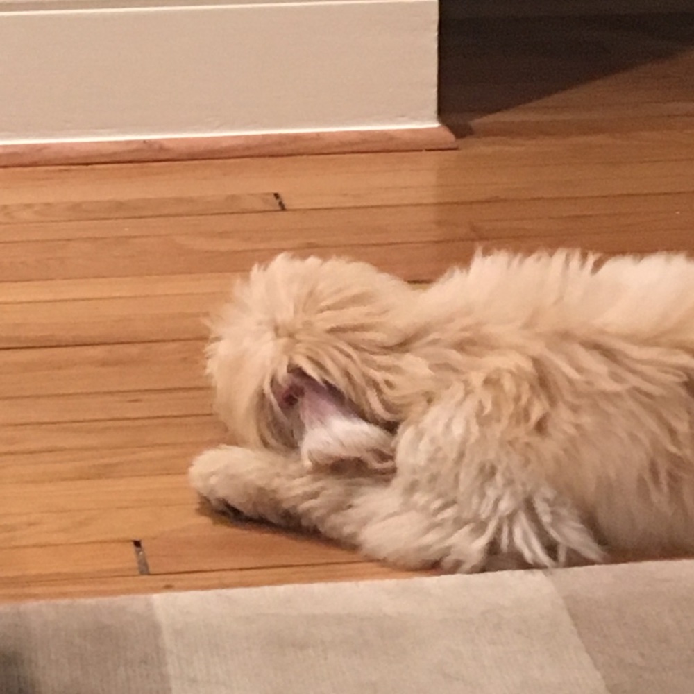 Meet your Posher, Jessica