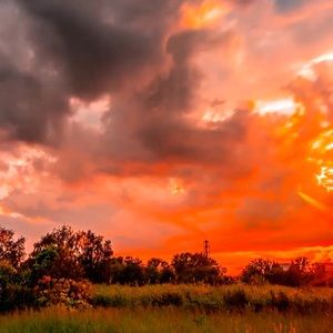 Meet your Posher, Alonna