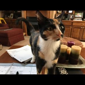 Meet your Posher, Lynn