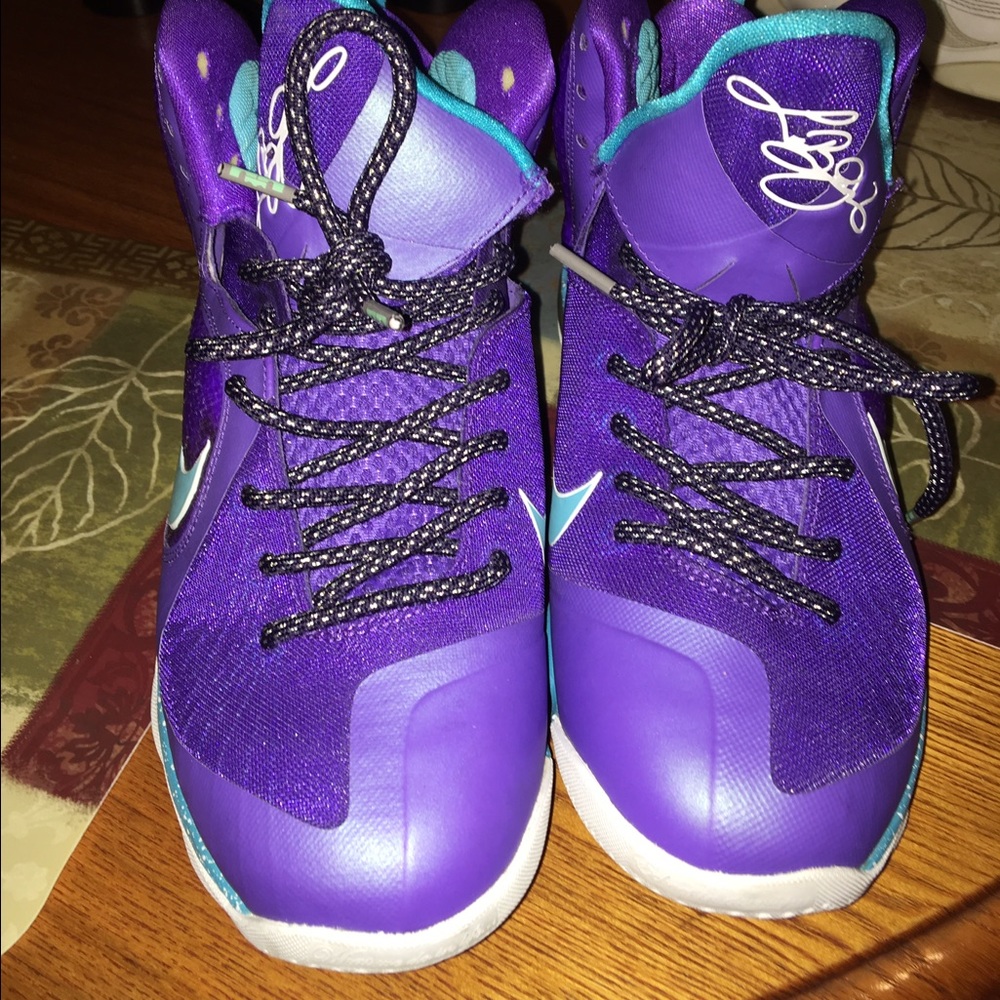 Lebrons - Picture 2 of 4