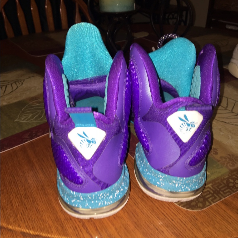 Lebrons - Picture 3 of 4