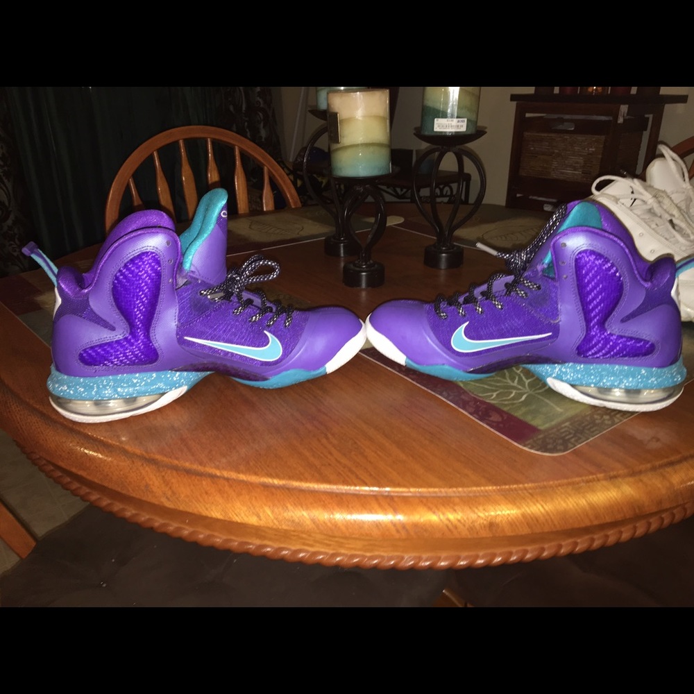 Lebrons - Picture 4 of 4