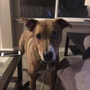 Meet your Posher, Steve