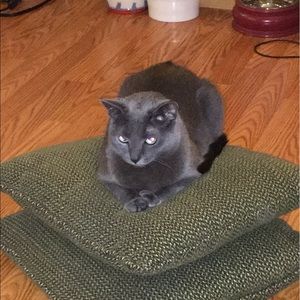 Meet your Posher, Genevie