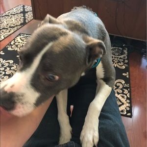 Meet your Posher, David