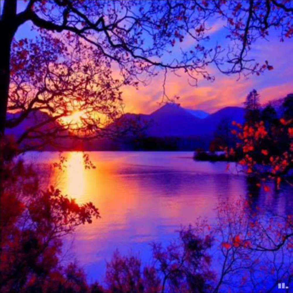 Meet your Posher, Nadia