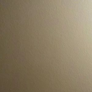 Meet your Posher, Bryan