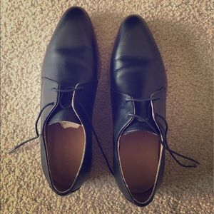 New! Everlane Modern Oxford