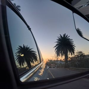 Meet your Posher, Tonya