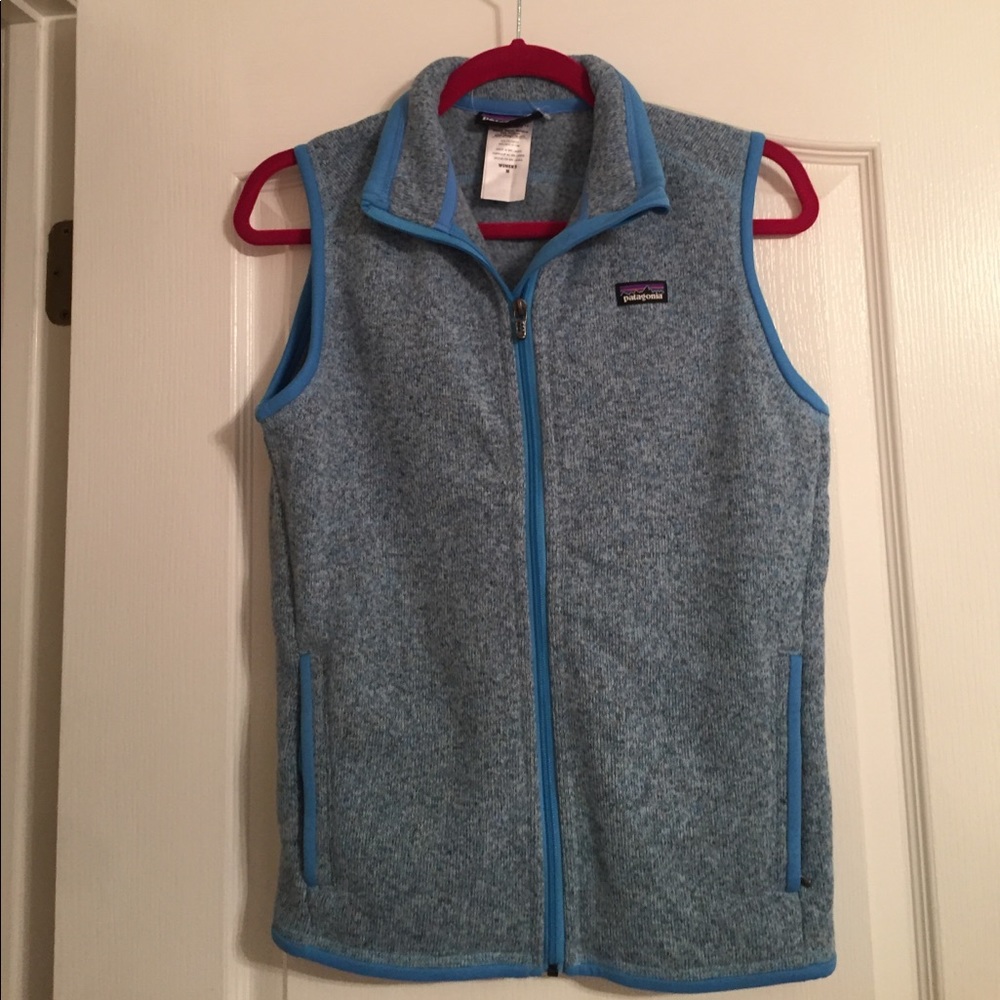 Patagonia Sweater Fleece Vest