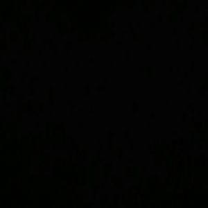 Meet your Posher, Freddy