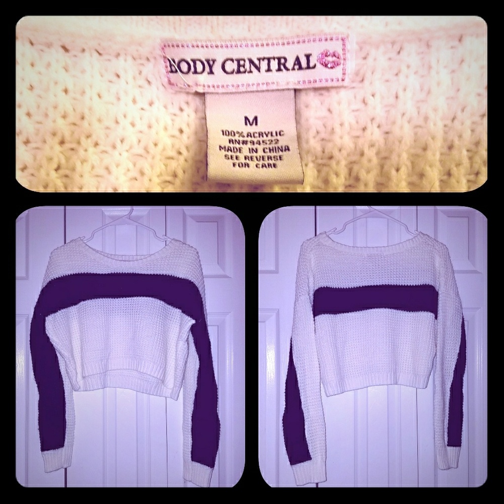 Body Central Crop Sweater