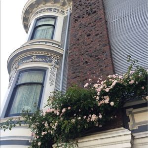 Meet your Posher, Nancy